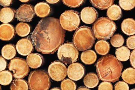 Wood logs background
