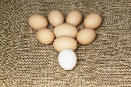 Eggs in a flying hen shape 