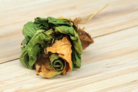 Flower from dry leavesの写真素材