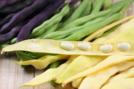 aw yellow, green and violet beansの写真素材