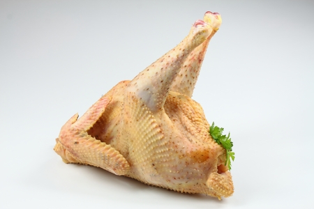 Raw organic roosterの写真素材