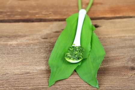 Homemade pesto in a spoon on bear garlic leaves. Made from wild garlic, olive oil,  parmesan cheese and nuts.の写真素材