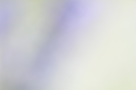 Blur white and violet background.   Spring bokeh background from fresh flowers.の写真素材