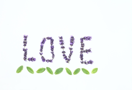 Letters of love  from fresh lavender flowers. 
Capital letters made of lavender on white background, flat lay, top view, copy spaceの写真素材