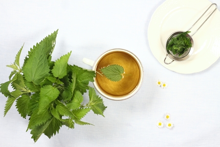 Healing tea with fresh nettles, flat view. Cup of nettle tea , fresh nettles, tea strainer on the plate,  light tableclothの写真素材