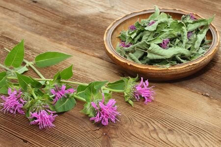 Fersh and dried  bergamot. Flowers of bergamot, Monarda didyma, on woodem boardの写真素材