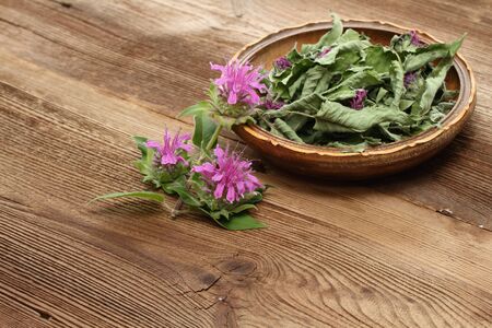 Fersh and dried  bergamot. Flowers of bergamot, Monarda didyma, on woodem boardの写真素材