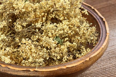 Dried common elder, Sambucus nigra. Also known as elderberry or European elder, wooden table.の写真素材