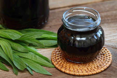 Homemade ribworth plantain syrup against cough. Made from plantain leaves  (Plantago lanceolata)  and sugar.の写真素材