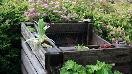 Detail of composter with organic waste from pallets in garden. Reusable concept. Frame decorated...
