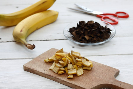 Fresh and dried banana peel good for plant fertilization. Eco friendly and cheap way how to manure plants and flowers.の写真素材