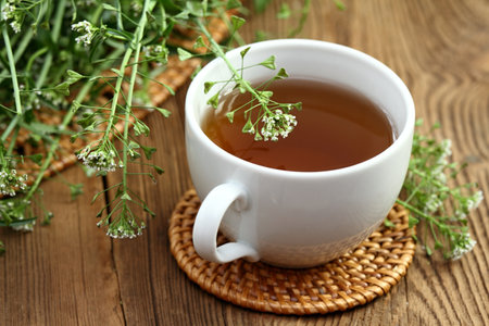 Herbal tea from herb Capsella bursa-pastoris, also known as  shepherd's purse. Herbal tea  used in traditional medicine, homeopathy and cosmetics.  Fresh  plant of shepherd's purse, wooden table.の写真素材