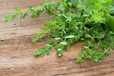 Fresh leaves of mint balm, Melissa officinalis, on the wooden table. The leaves are used as a herb, in teas and a flavouring.の写真素材