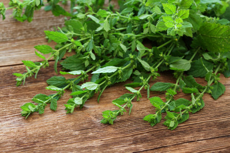 Fresh leaves of mint balm, Melissa officinalis, on the wooden table.  The leaves are used as a herb,...