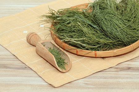 Equisetum arvense, the field horsetail or common horsetail, dried in the basket on wooden table. It is   used in traditional medicine, rich in silicon.の写真素材