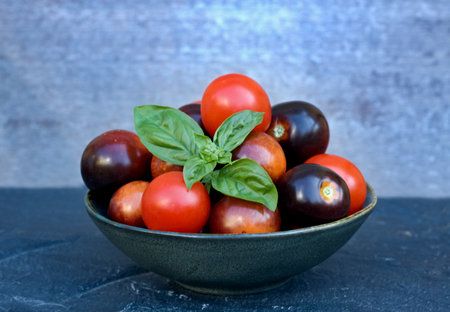 Black and red tomatoes in a bowl on the stone table.  Black Indigo Rose tomatoes  and red Cherry Baby  ones decorated with a basil herb.の写真素材