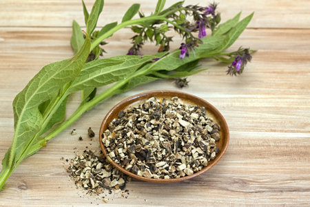 Dried roots of comfrey, lat. Symphytum officinale, and fresh plant on wood table. Pieces of root prepared for making an ointment,  traditional herbal medicine.の写真素材