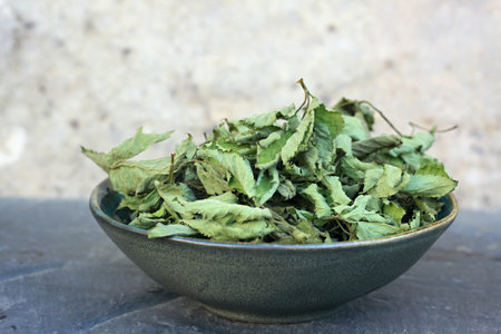 Dried leaves of Aegopodium podagraria in a bowl. Commonly called ground elder or bishopの写真素材