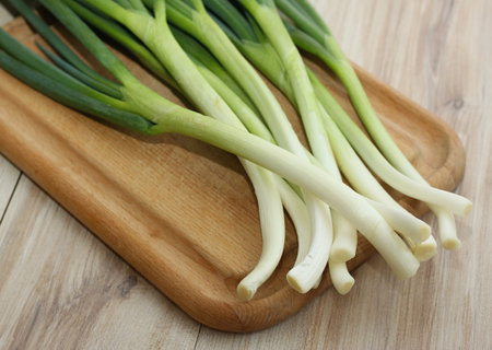 Fresh green onion on chopping board.  Homemade organic production of multi-tiered  onion known as Allium poliferum or Allium cepa.の写真素材