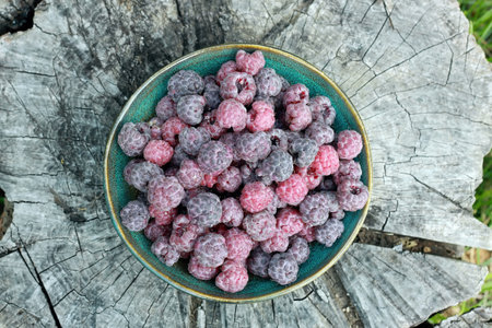 Purple raspberries, lat. Rubus hybridus Glen Coe on the tree stump. Detail of a bowl full of ripe...