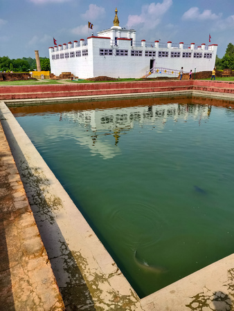 Maya Devi Temple in Lumbini, Nepalの写真素材