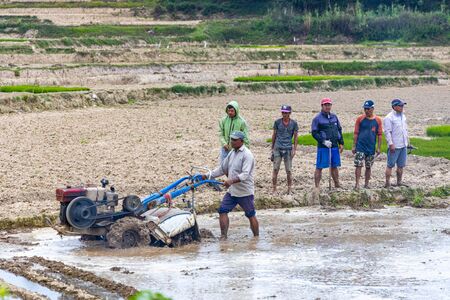 Kathmandu, Nepal - June 30 2019: Nepali farmers ploughing field during National Paddy Day in Nepalのeditorial素材