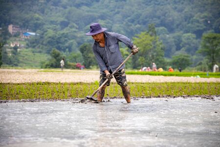 Kathmandu, Nepal - June 30 2019: Nepali farmers ploughing field during National Paddy Day in Nepalのeditorial素材