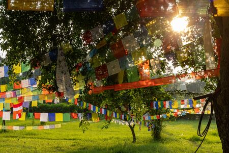 Prayer flags hanging at garden in Lumbini, Nepalの写真素材