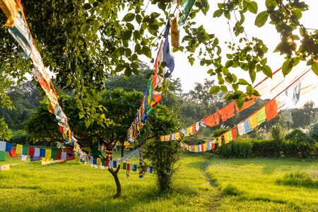 Prayer flags hanging at garden in Lumbini, Nepalの写真素材