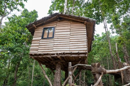 Cottage style tree house in the middle of the forest