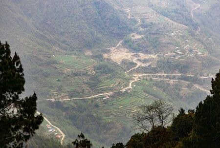 Terrac farming or step farming in hilly regionの写真素材