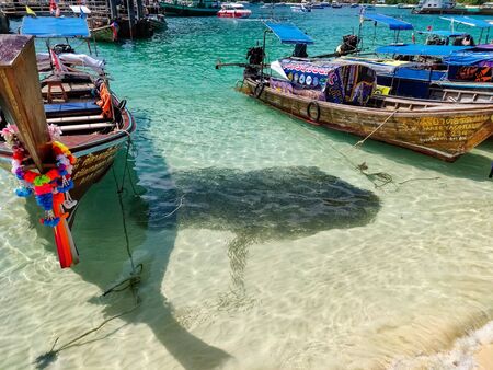 Phi Phi Island,  Thailand - November 26 2019: traditional wooden longtail boats parked at a beach in Phi Phi Island. Clear water and clean beach.のeditorial素材