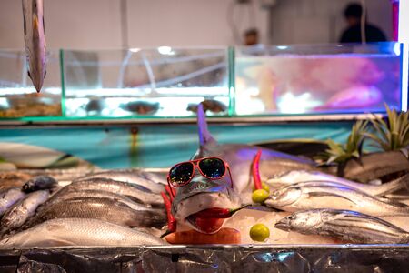 A baby shark on display at a local street food market in Phuket, Thailand.