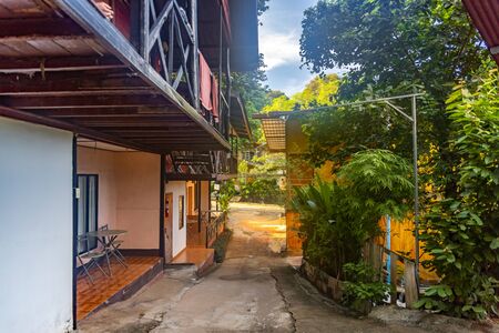 Downhill road leading to the main street of Phi Phi Island.の写真素材