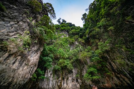 Lush green jungle a top mountain at Monkey Beach in Phi Phi islands, Thailand.の写真素材