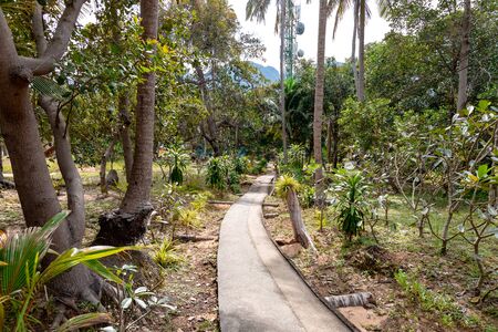 Narrow concrete uphill walkway through the mountain and forests leading to Viewpoint 1 and 2 in Phi Phi Island in Thailand.の写真素材