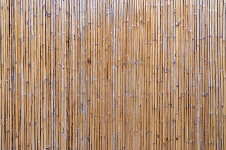 Bamboo stick background or patterns. Dried up bamboo plants used as a fenceの写真素材