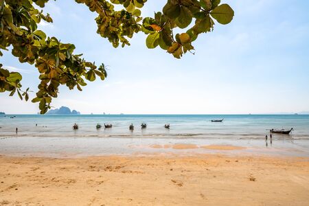Traditional Longtail boats parked at Ao Nang Beach in Krabi, Thailand.の写真素材