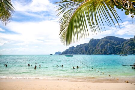 People swimming in andaman sea off the coast of Thailand. Palm tree at Ao Tonsai Beach in Phi Phi Island. Selective Focus.のeditorial素材
