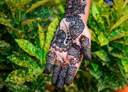 Hands of woman with detailed henna design artの写真素材