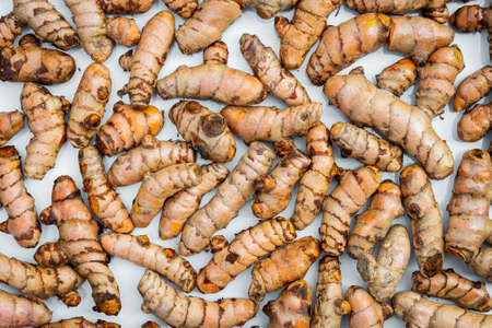 Turmeric roots closeup. Fresh harvest of many turmeric roots background texture.の写真素材