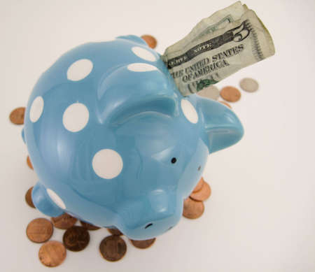 Stimulus Pigの写真素材