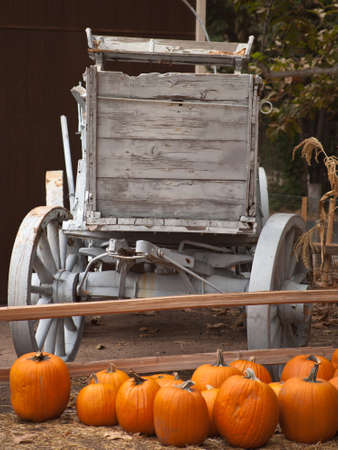 A shot of a bunch of pumkin's and a old wagon.の写真素材