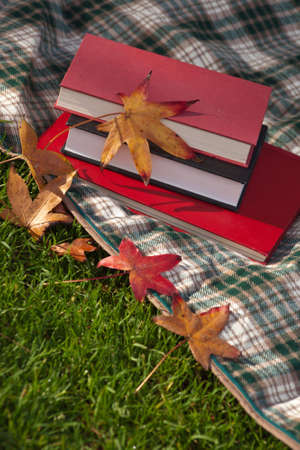 A close up of some books and a blanket on green grass with fall leaves.の写真素材