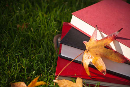 A close up of some books on green grass with fall leaves.の写真素材