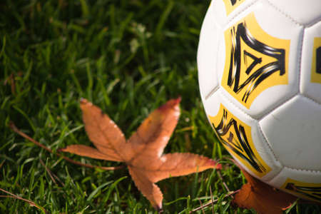 A close up of a soccer ball on green grass with fall leaves.の写真素材