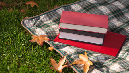 A close up of some books and a blanket on green grass with fall leaves.の写真素材