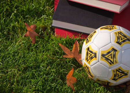 A close up of some books on green grass with a soccer ball and fall leaves.の写真素材