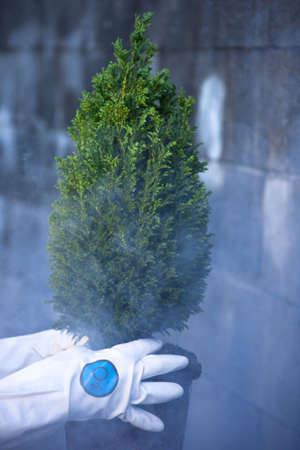 A close up of a small tree in front of a cinder block with white gloves with an 02 symbol.の写真素材