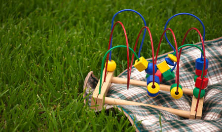 A close up of a baby toy sitting on a plaid blanket on green grass.